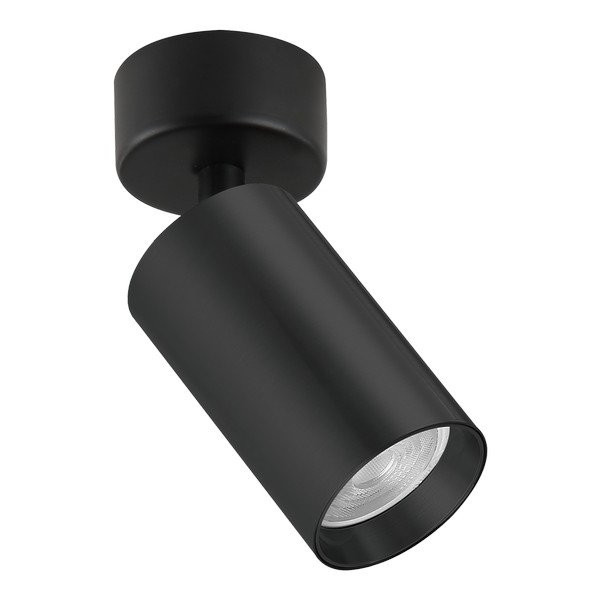 Plafonska lampa AFS121-1C BK