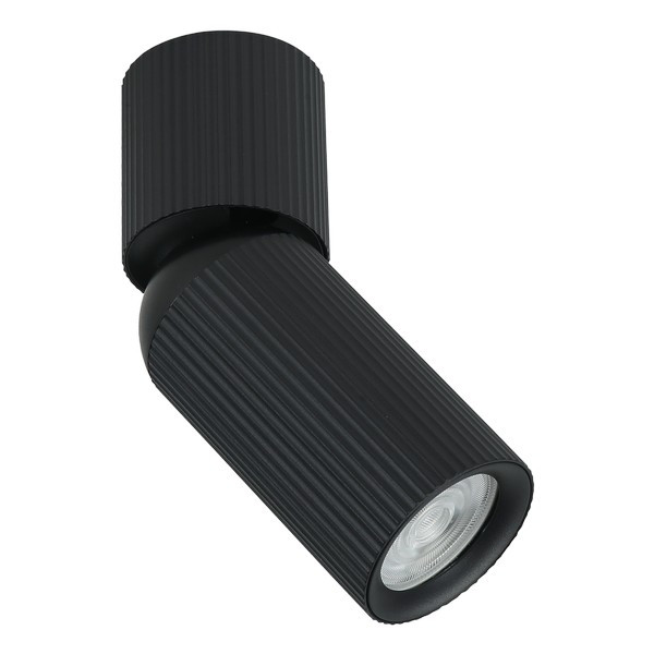 Plafonska lampa AFS117-1C BK