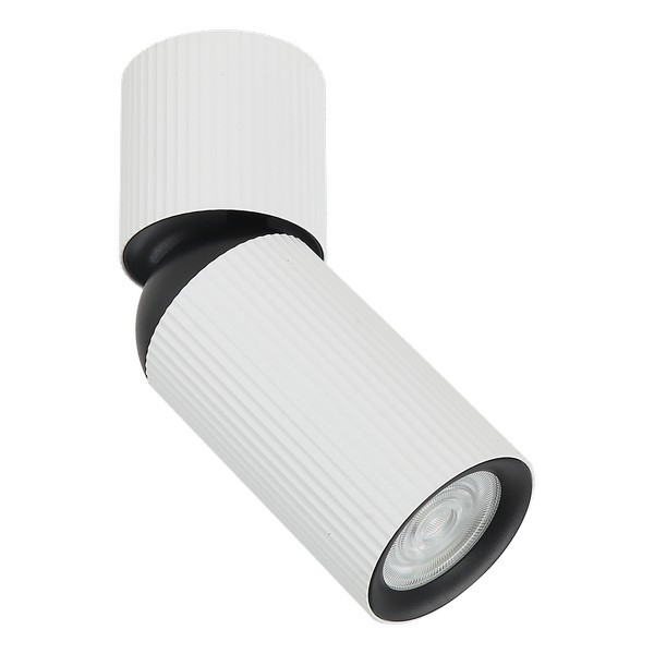 Plafonska lampa AFS117-1C WH