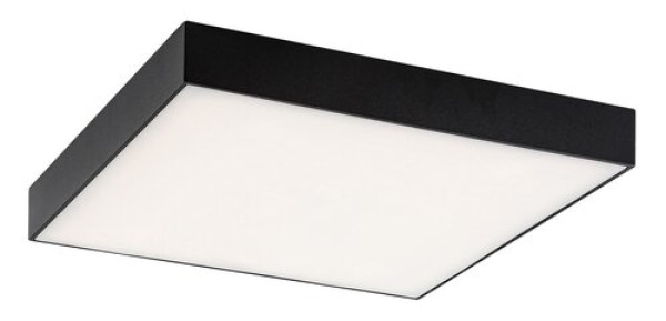 Rabalux Tartu Spoljna plafonska rasveta