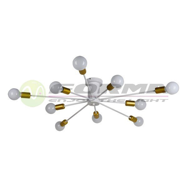 Plafonska lampa FK7009-10C WH
