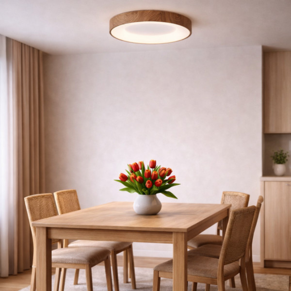 https://www.lampi.rs/images/products/big/50922.jpg