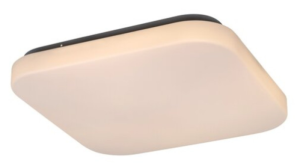 Rabalux Rob Plafonjere