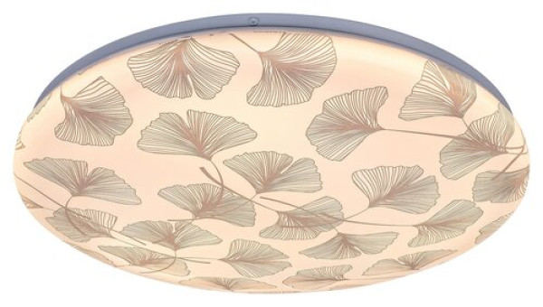 Rabalux Benita Plafonjere