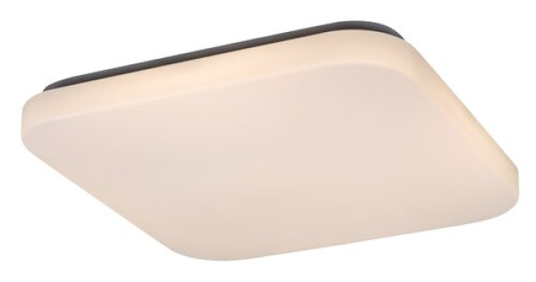 Rabalux Rob Plafonjere