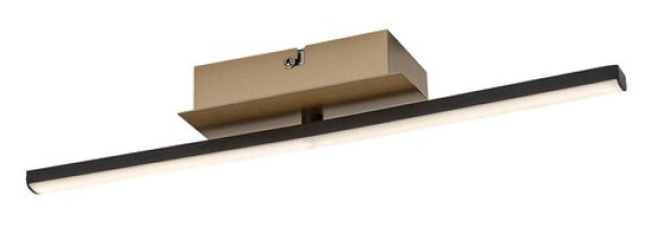 Rabalux Demir Plafonjere